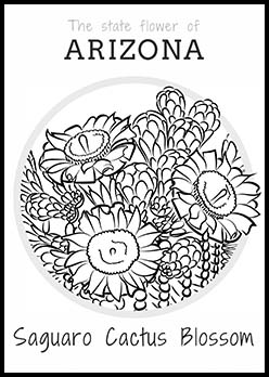 Free Arizona State Flower Coloring Page | Saguaro Cactus Blossom